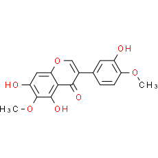 Iristectorigenin B