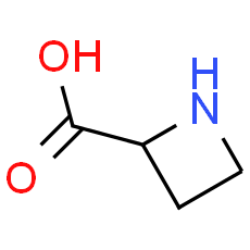 Azetidine-2-carboxylic acid