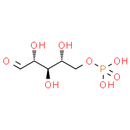 D-Ribose 5-phosphate