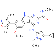 HJB97