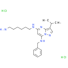 BS-181 dihydrochloride