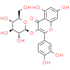 Isoquercetin