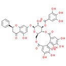 Pinocembrin 7-O-[3''-O-galloyl-4'', 6''-hexahydroxydiphenoyl]-β-D-glucoside