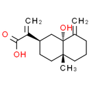 5α-Hydroxycostic acid