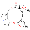 Seneciphylline