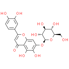 6-Hydroxyluteolin 7-glucoside