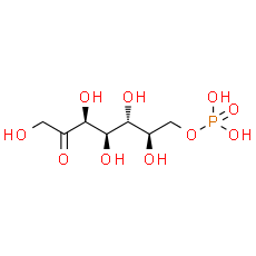 D-Sedoheptulose 7-phosphate