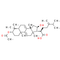 Dehydropachymic acid
