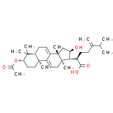 Dehydropachymic acid