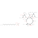Erythromycin estolate