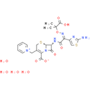 Ceftazidime pentahydrate
