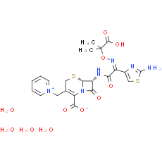Ceftazidime pentahydrate