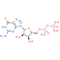 Guanosine 5'-diphosphate