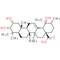 Euscaphic acid