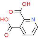 Quinolinic acid