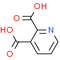 Quinolinic acid