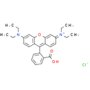 Rhodamine B