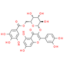 Quercetin 3-O-(6''-galloyl)-β-D-galactopyranoside