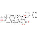 Dehydrotumulosic acid