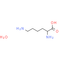 DL-Lysine monohydrate - CAS# 885701-25-7