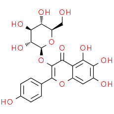 6-Hydroxykaempferol 3-O-β-D-glucoside