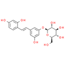 Oxyresveratrol 3'-O-β-D-glucopyranoside