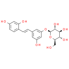 Oxyresveratrol 3'-O-β-D-glucopyranoside