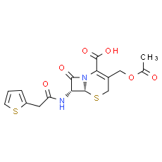 Cephalothin