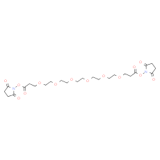 Bis-PEG6-NHS ester