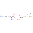L-Lysine thioctate