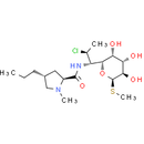 Clindamycin