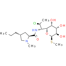 Clindamycin