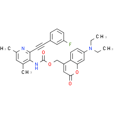 JF-NP-26
