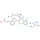 DS-1001b (DS 1001)