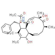 Cytochalasin C