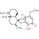 Ilimaquinone