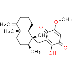 Ilimaquinone