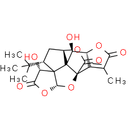 Ginkgolide K