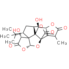 Ginkgolide K