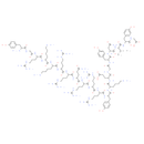 TAT-GluA2 3Y - CAS