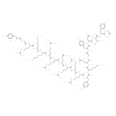 TAT-GluA2 3Y - CAS