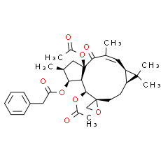 Euphorbiasteroid