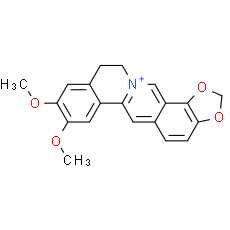 Epiberberine