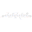 Amyloid β-Protein 10-20 - CAS