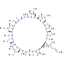Cyclosporin C