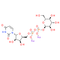 Uridine 5'-diphosphoglucose disodium salt - CAS# 28053-08-9