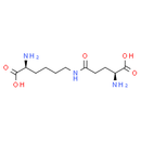 Epsilon-(gamma-glutamyl)-lysine