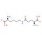 Epsilon-(gamma-glutamyl)-lysine