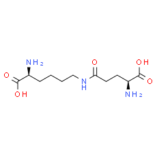 Epsilon-(gamma-glutamyl)-lysine