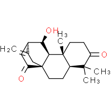 ent-11β-Hydroxyatis-16-ene-3, 14-dione
